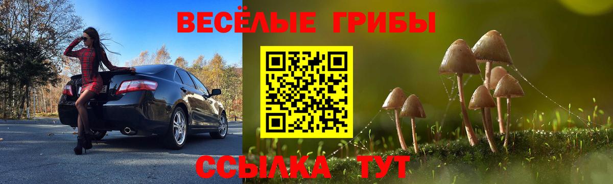 Галлюциногенные грибы ЛСД Бугуруслан